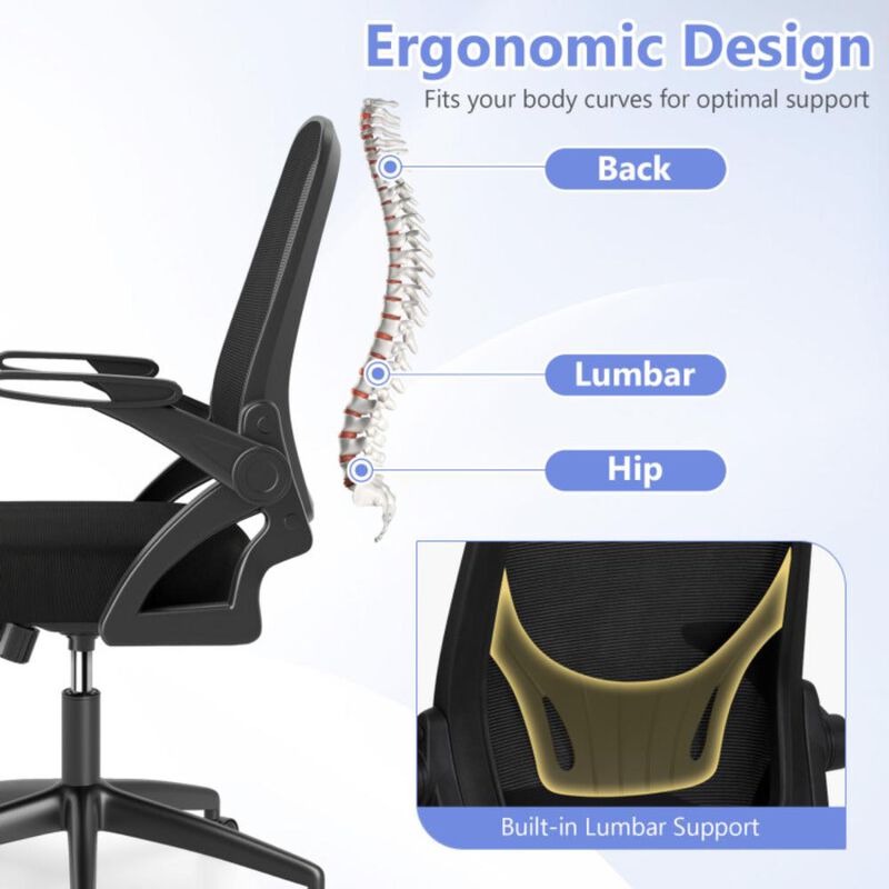 Hivvago Ergonomic Computer Desk Chair with Lumbar Support and Flip-up Arms