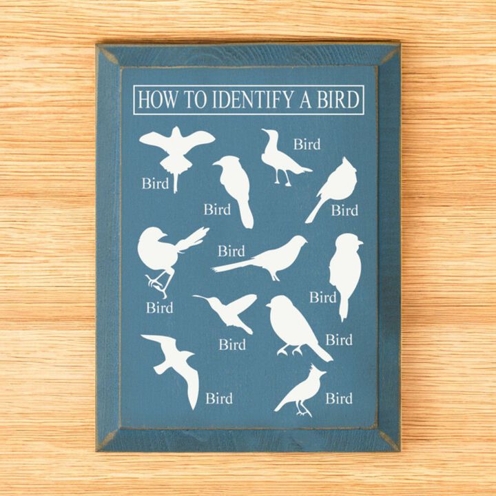 Bird Identification Chart Wall Decor From Solid Knotty Pine