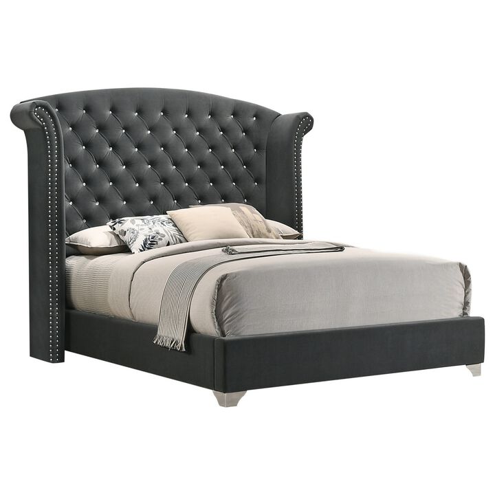 Giya Wingback King Bed, Tufted Headboard, Nailed Gray Velvet Upholstery - Benzara