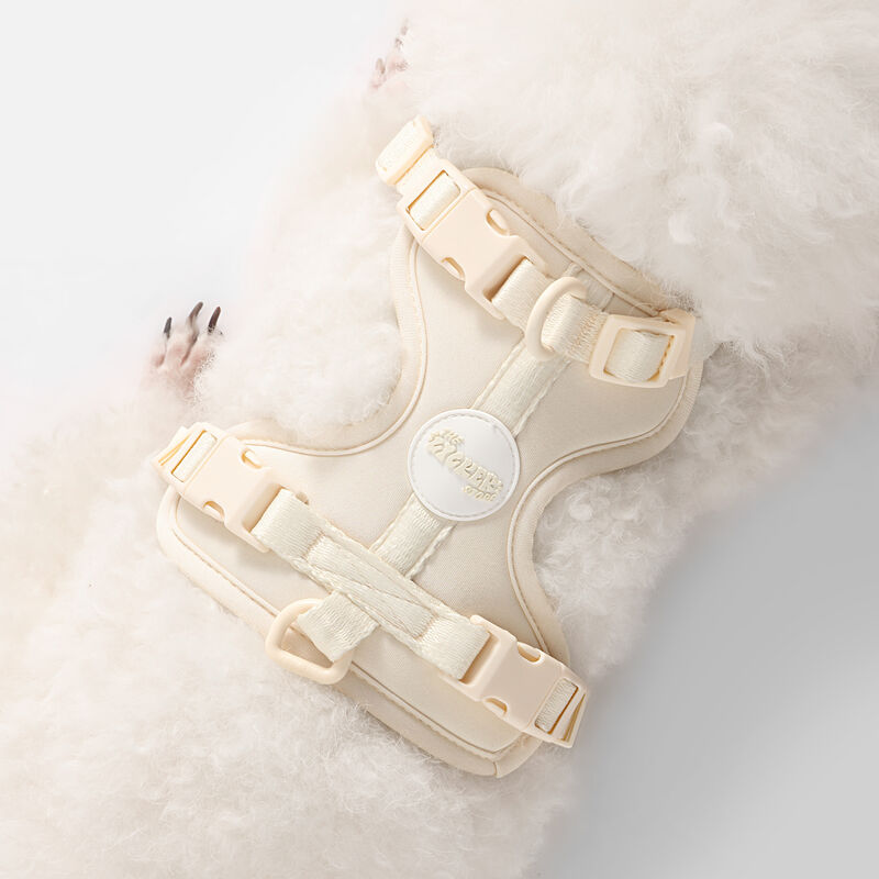 Arlo Adjustable Soft Padded No Pull Pet Harness with 3 Buckles and 3 Leash Clips