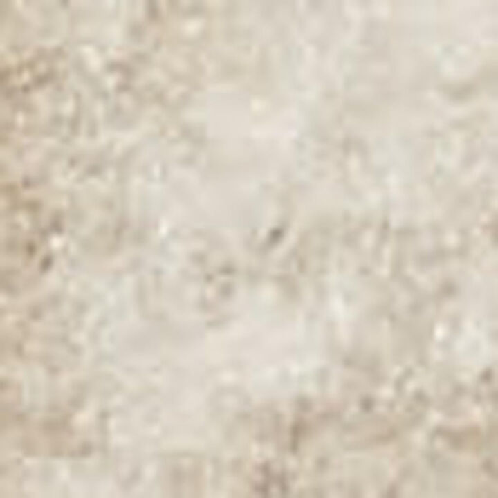HomeRoots Floral Area Rug