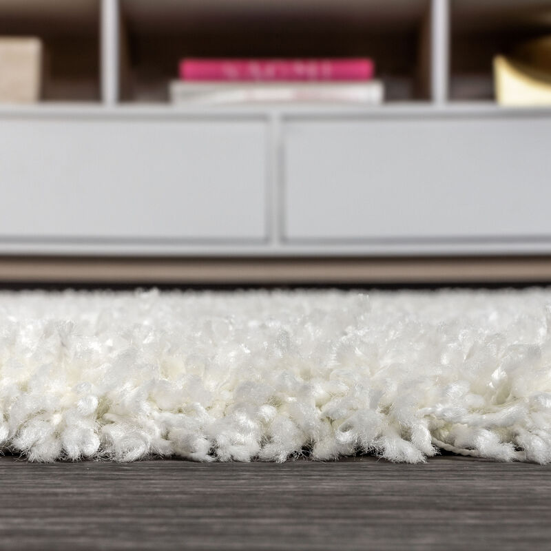 Mercer Shag Plush Area Rug