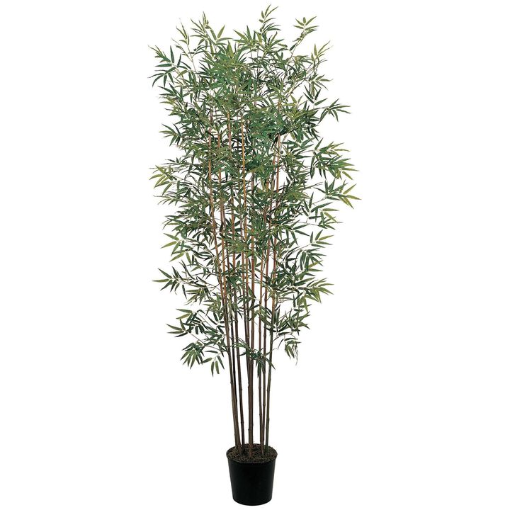 Nearly Natural 6-ft  Mini Bamboo Tree x 10 w/2520 Lvs
