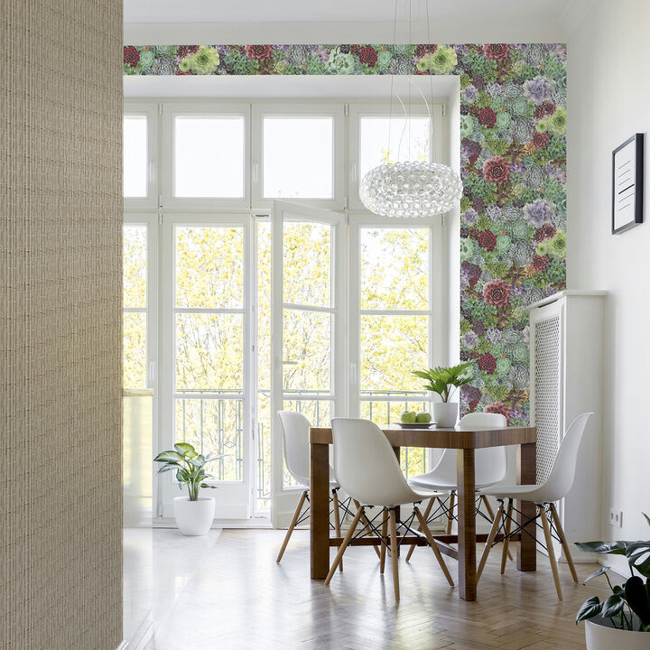 Rhea Multicolor Succulents Wallpaper