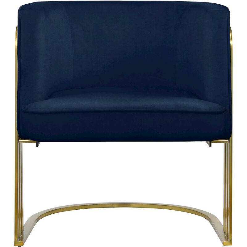Meridian Furniture Rays Navy Velvet Accent Chair