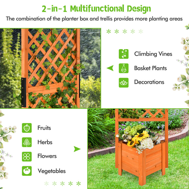 71" Raised Garden Bed with Trellis and Planter Box