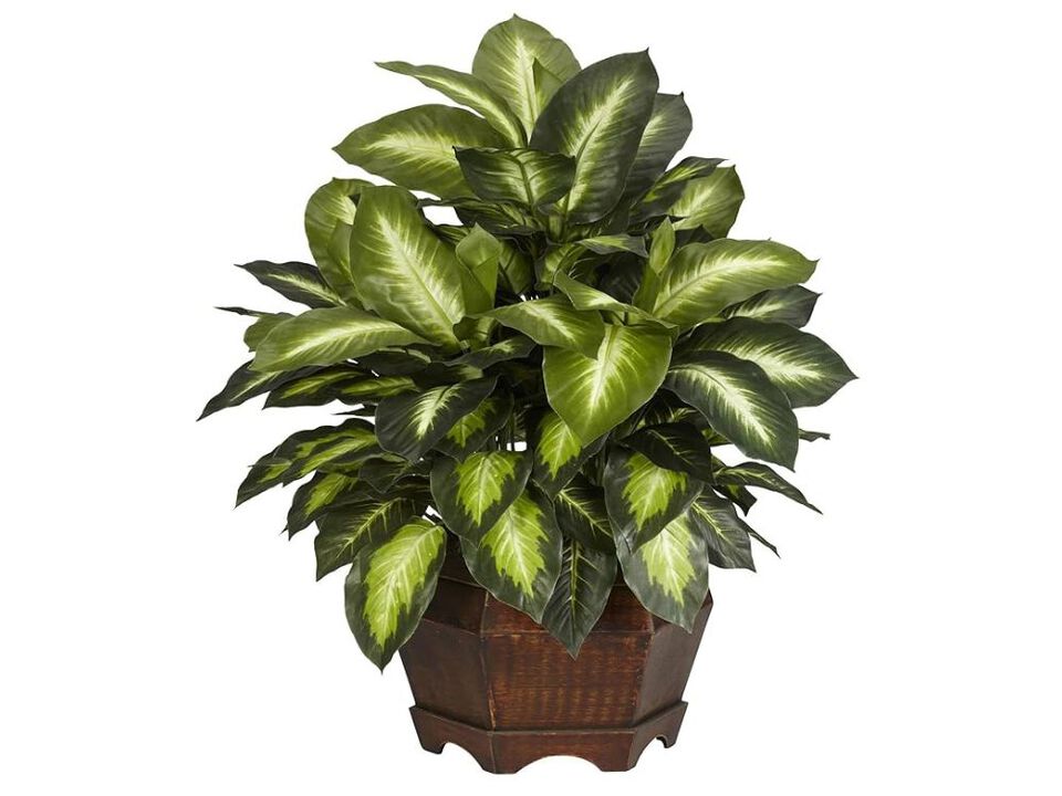 Artificial Greenery Plants Home Decor 24in Dieffenbachia Silk