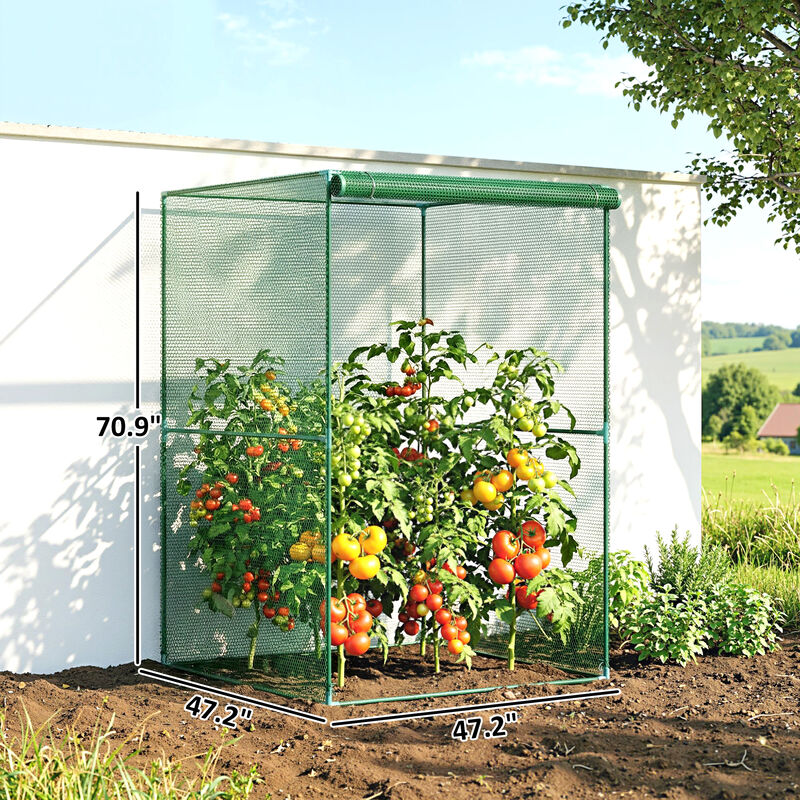 Hivvago Walk-In Garden Plant Cage with Zippered Door image number 2