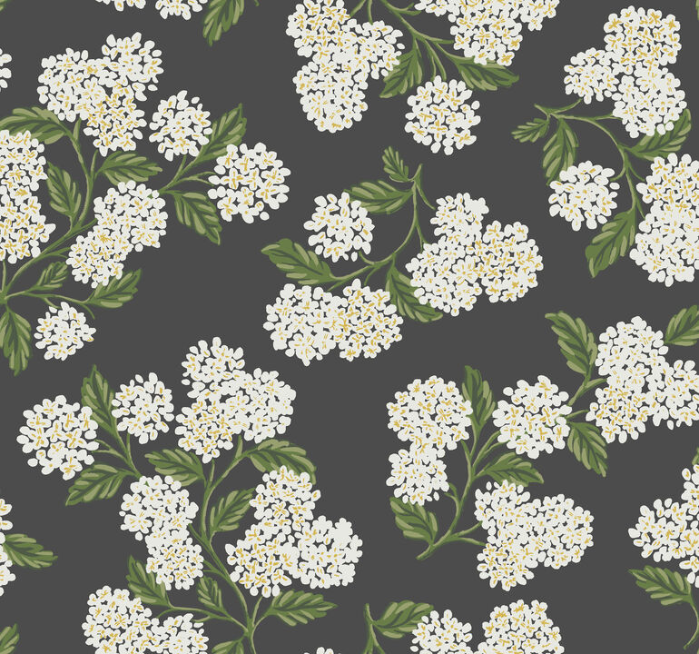 Hydrangea Black & White Wallpaper
