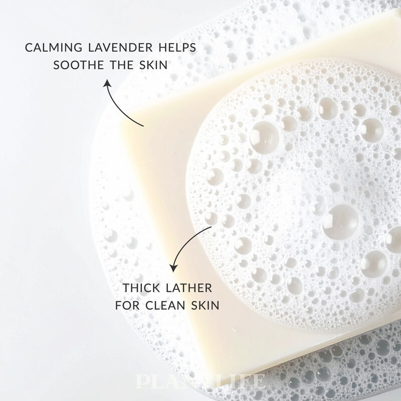 Plantlife Bar Soap - Lavender 6 Pack image number 3