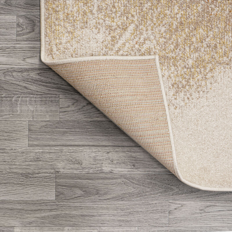 Petalo Abstract Two Tone Modern Area Rug