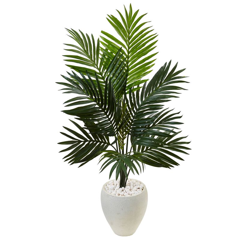 HomPlanti 4.5 Feet Kentia Palm Tree in White Oval Planter