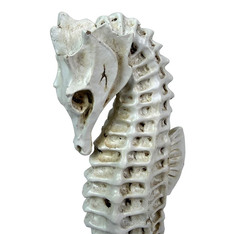 Seahorse Statue Coastal Nautical Resin Tabletop Sculpture 10 Inch Off White image number 4