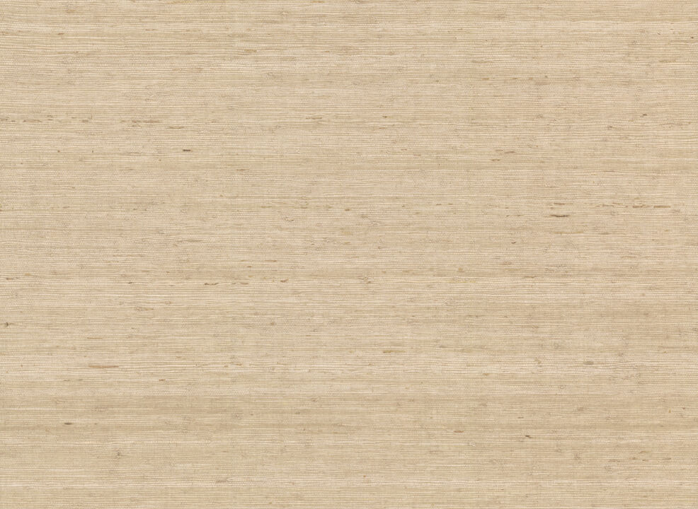 Arrowroot Cream Wallpaper