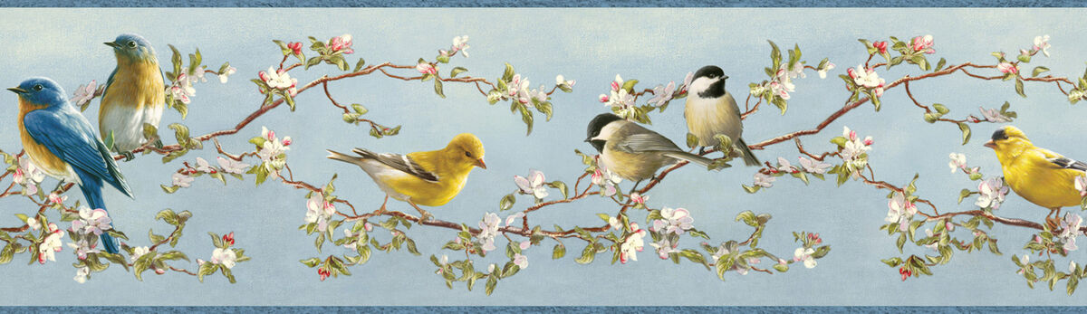 Songbird Sky Blue Trail Wallpaper