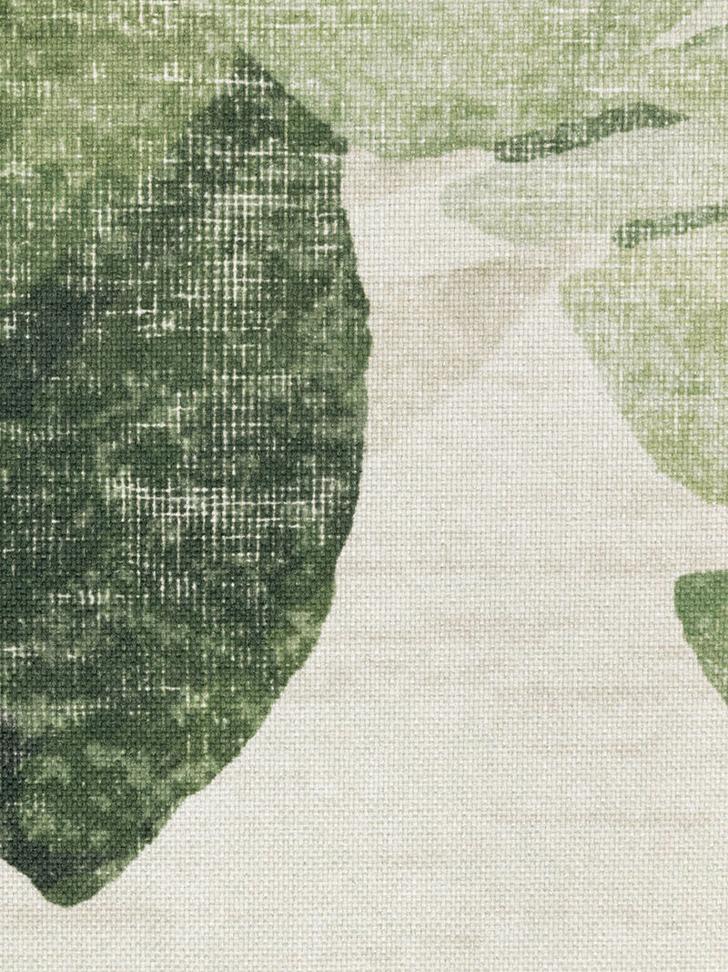 Fiji FIJ02 Collection