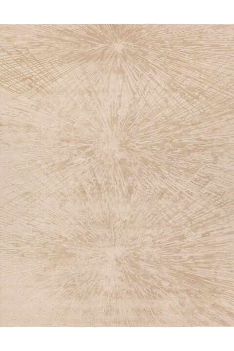 Fragment Odilia FRG13 9' x 12' Rug