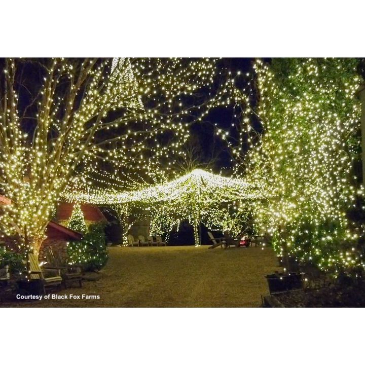 50 Pure White LED Wide Angle Christmas String Lights - 25.17 ft Brown Wire