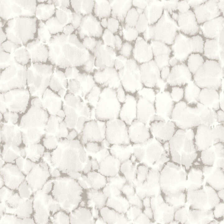 Evergreen Reflections Silver Grey Wallpaper 7317