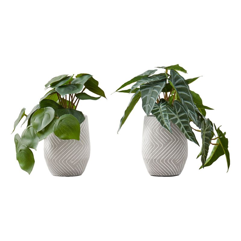 Monarch Specialties I 9582 - Artificial Plant, 8" Tall, Alocasia, Indoor, Faux, Fake, Table, Greenery, Potted, Set Of 2, Decorative, Green Leaves, White Cement Pots