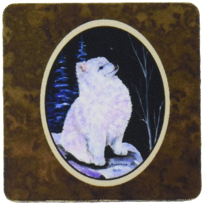 Caroline's Treasures SS8389FC Starry Night American Eskimo Foam Coasters Set of 4 (Set of 4), 3.5 H x 3.5 W, Multicolor
