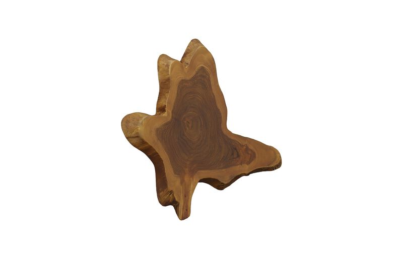 Freeform Teak Wall Slice