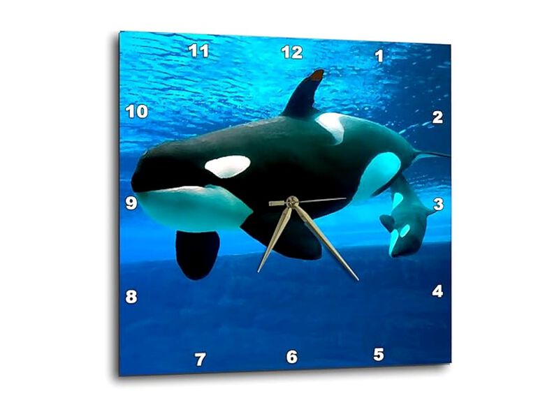 Killer Whales Wall Clock 10 Inch Home Decor image number 0