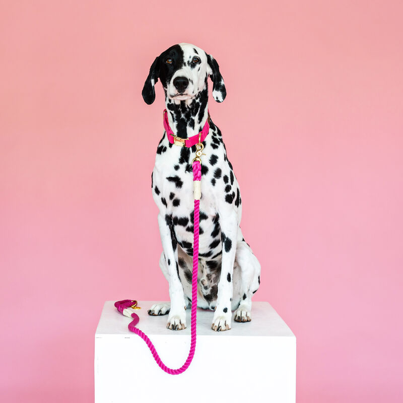 Bree Rope Dog Leash image number 1