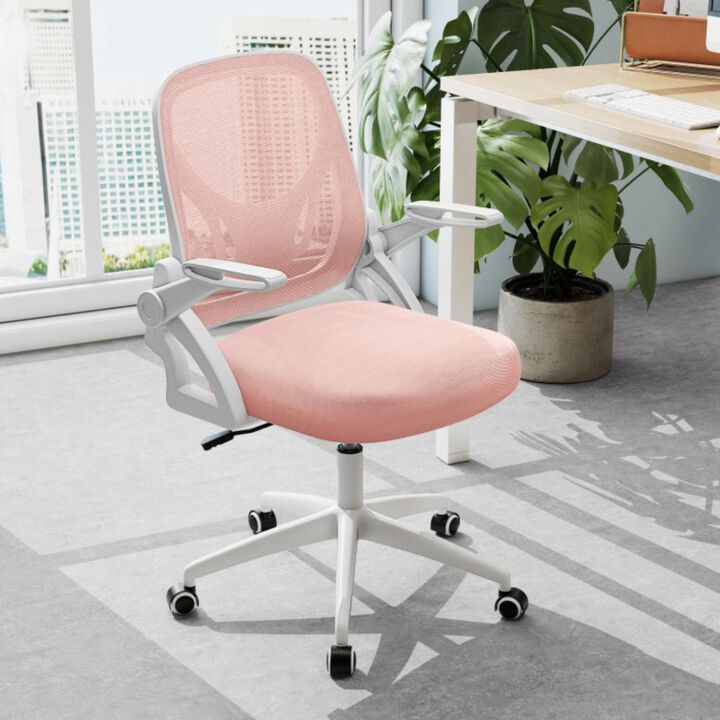 Hivvago Ergonomic Computer Desk Chair with Lumbar Support and Flip-up Arms