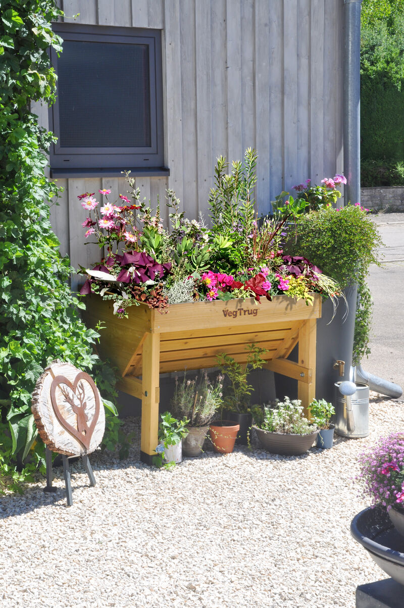 Small Classic Raised Planter VegTrug - Natural (FSC 100%)