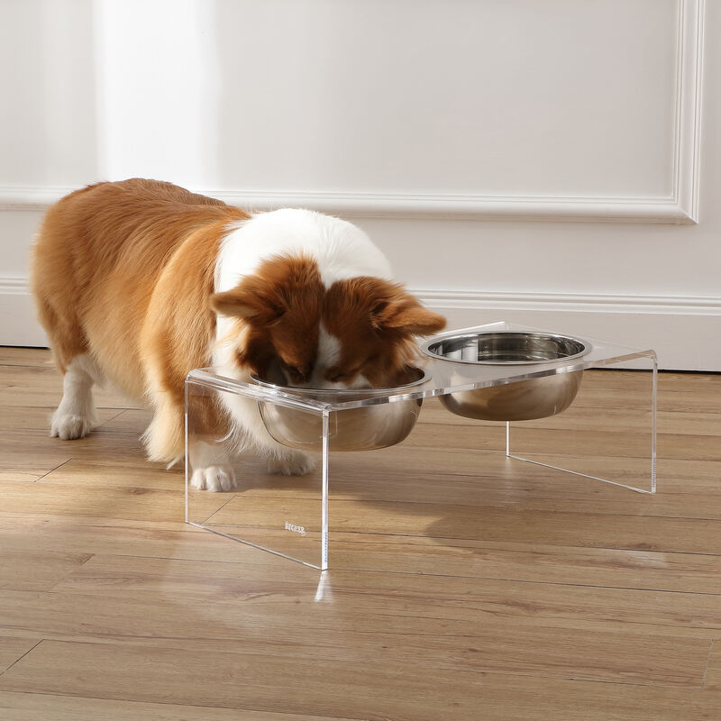 Keaton Modern Acrylic Rectangular Elevated Pet Feeder with Stainless Steel Bowls