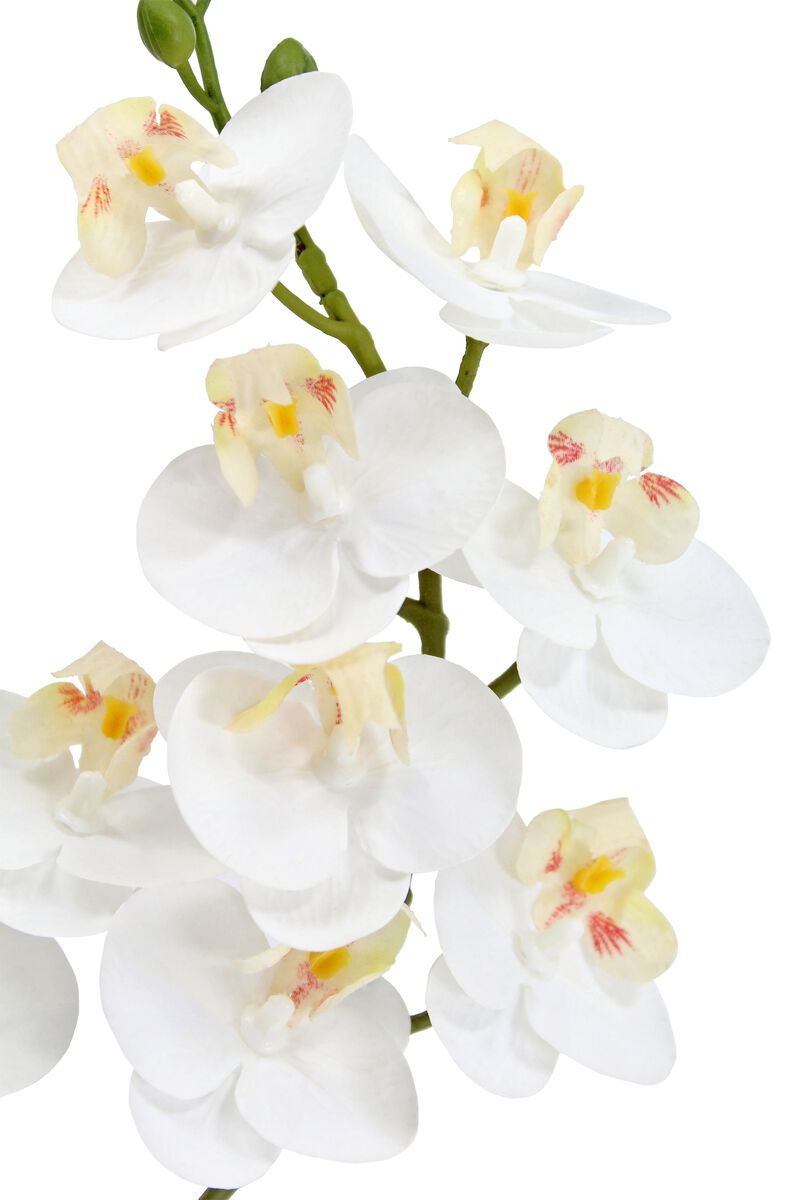 Artificial 2-Stem Phalaenopsis White Orchid image number 2