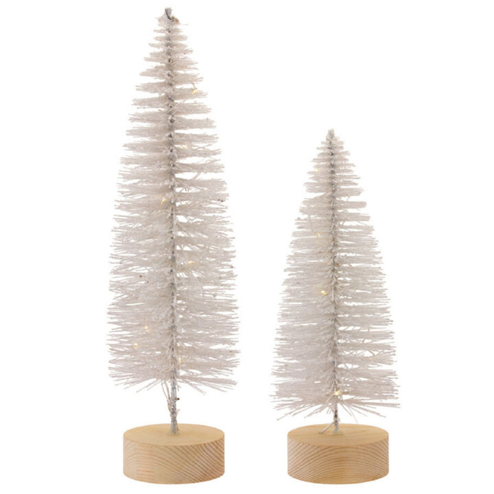 Set of 4 LED Lighted Trees for Festive Holiday Décor & Warm Ambient Lighting
