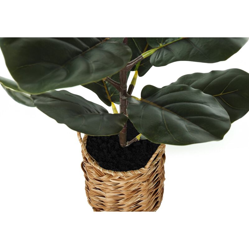Monarch Specialties I 9505 - Artificial Plant, 28" Tall, Fiddle Tree, Indoor, Faux, Fake, Floor, Greenery, Potted, Real Touch, Decorative, Green Leaves, Beige Woven Basket image number 2