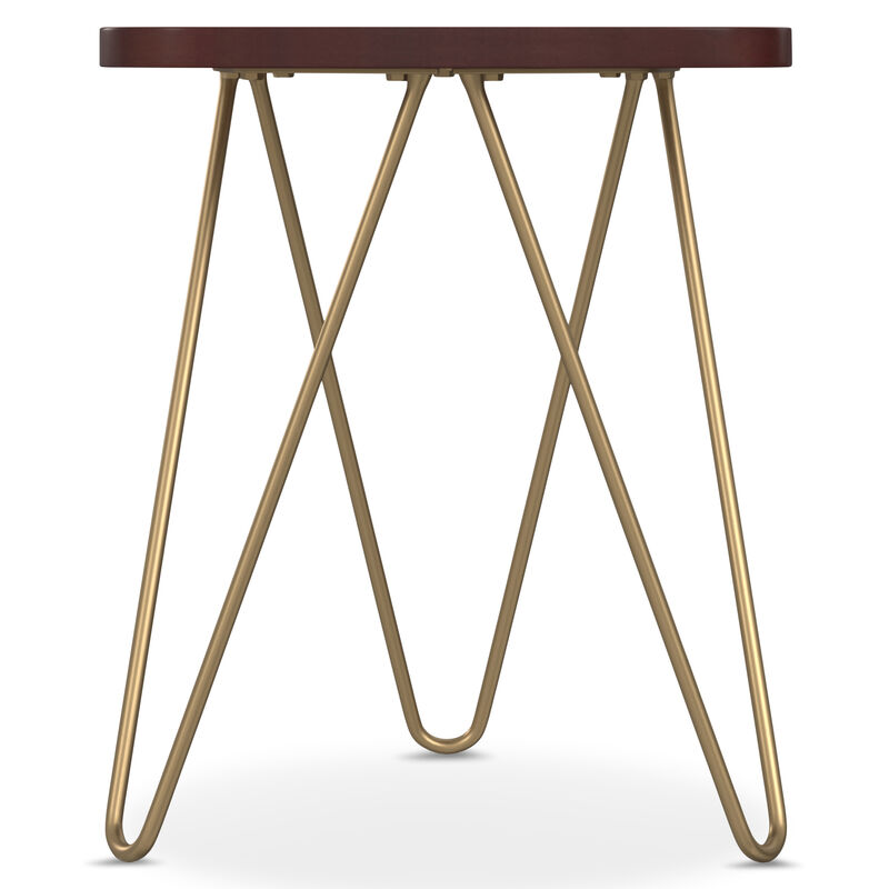 Patrice Modern 18 inch Wide Metal and Wood Accent Side Table in Dark Brown