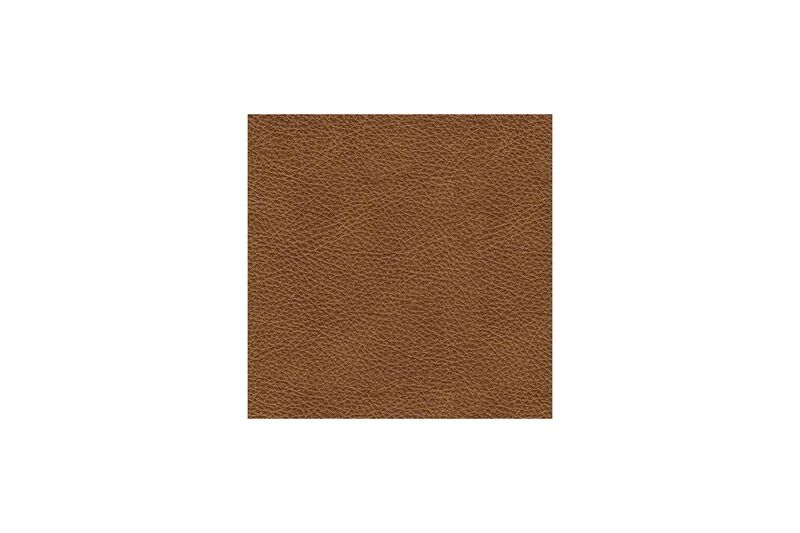 Emilia 5-Piece Leather Sectional
