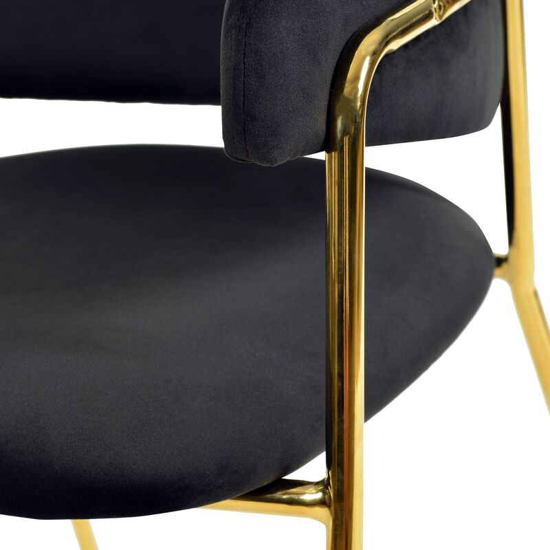 Axis Upholstered Dining Chairs Curved Open-Back & Gold Legs Set of 2 in