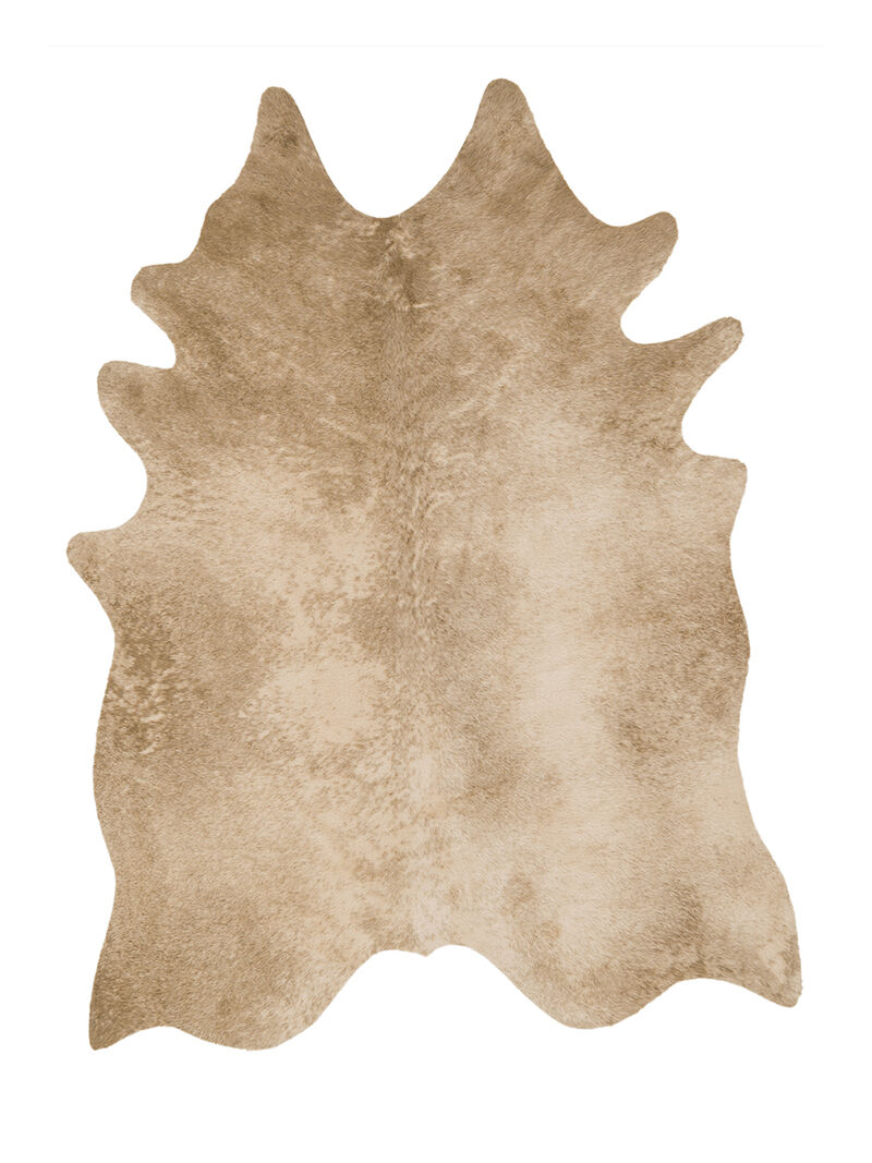 Grand Canyon GC09 Collection by Loloi II