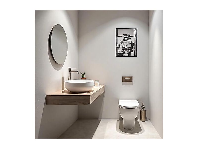 Funny Raccoon Bathroom Wall Art Framed Black White Animal Poster Decor Toilet image number 2