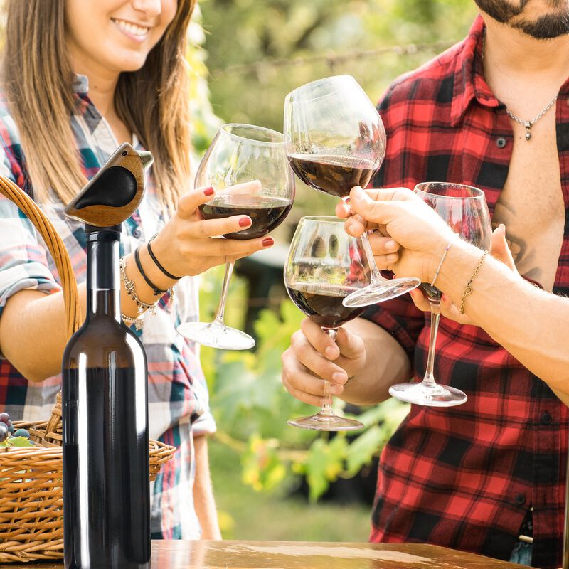 Songbird Specialties&reg; Bottle Pourer image number 4