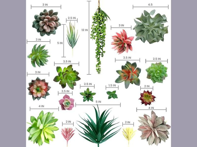 20 Pack Artificial Succulent Plants Home Decor Succulents Unpotted image number 2