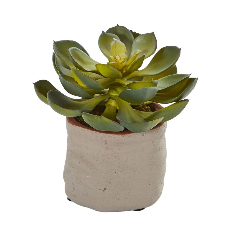 Hivvago Mixed Succulent Artificial Plant (Set of 4)
