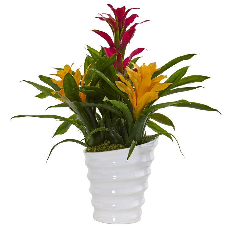 Hivvago Bromeliad in White Swirl Vase
