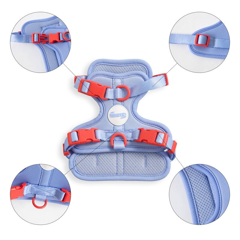 Arlo Adjustable Soft Padded No Pull Pet Harness with 3 Buckles and 3 Leash Clips