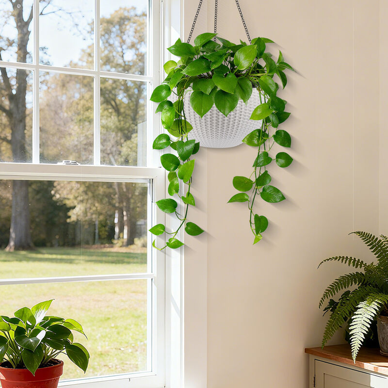 WOW PIONEER Self-Watering Hanging Planter Large Capacity Root-Rot Resistant Water Storage Water Level Indicator image number 8