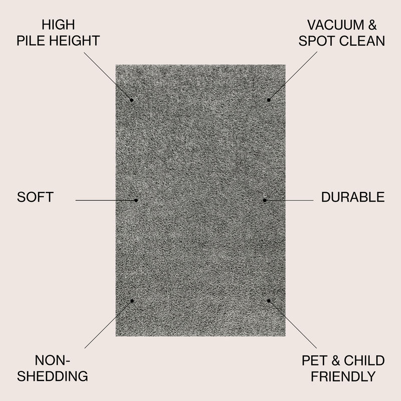 Mercer Shag Plush Area Rug