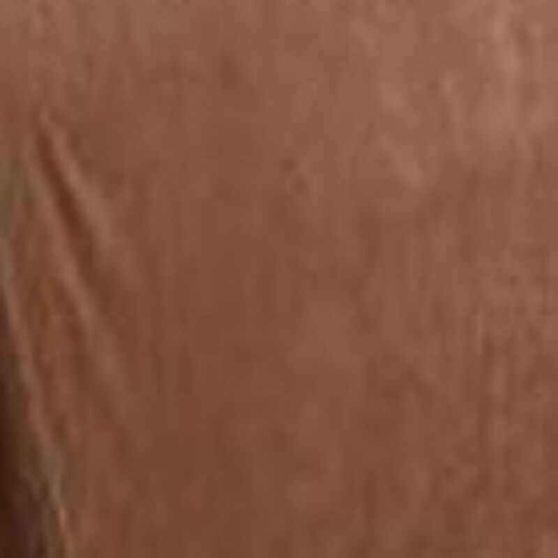 Plazatex Micro Plush Solid Blanket