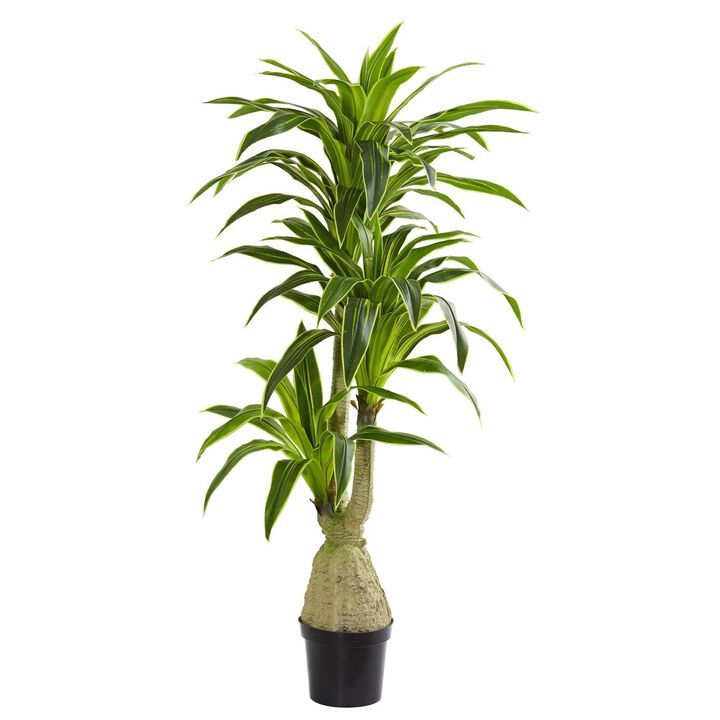 Nearly Natural 6.5-in Dracaena Artificial Plant