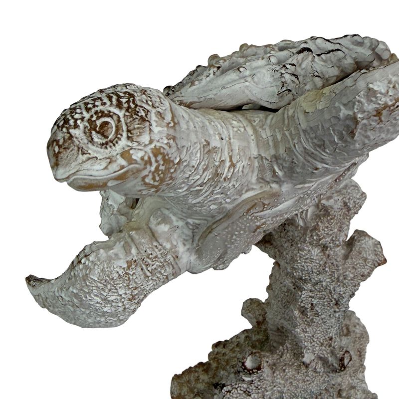 Sea Turtle Statue Whitewash Coral Look Polyresin Coastal Decor 7 In Tall image number 3
