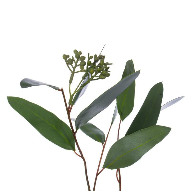 Vickerman 24" Artificial Green Seeded Willow Eucalyptus Wreath image number 4